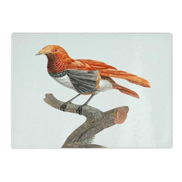 Tempered Glass a King Bird of Paradise Chopping Board East Urban Home Size: 28.5 cm W x 20 cm L on Productcaster.