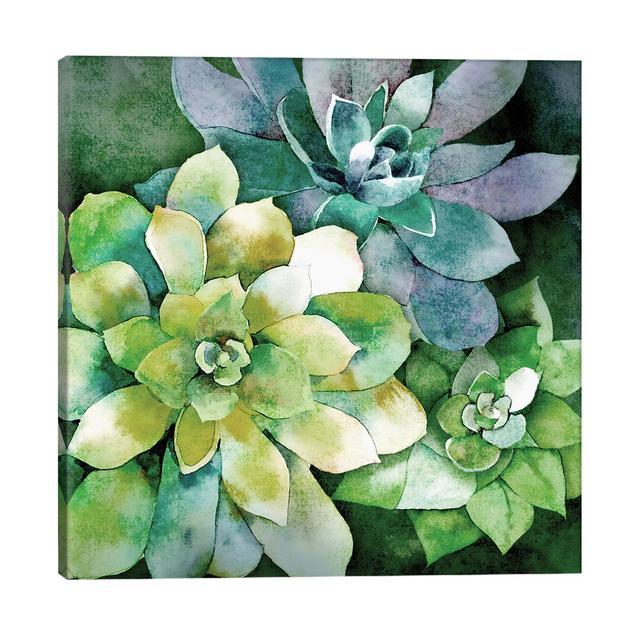 'Summer Succulents' by Florent Bodart - Wrapped Canvas Painting Print Bay Isle Home Size: 45.72cm H x 45.72cm W x 1.91cm D on Productcaster.