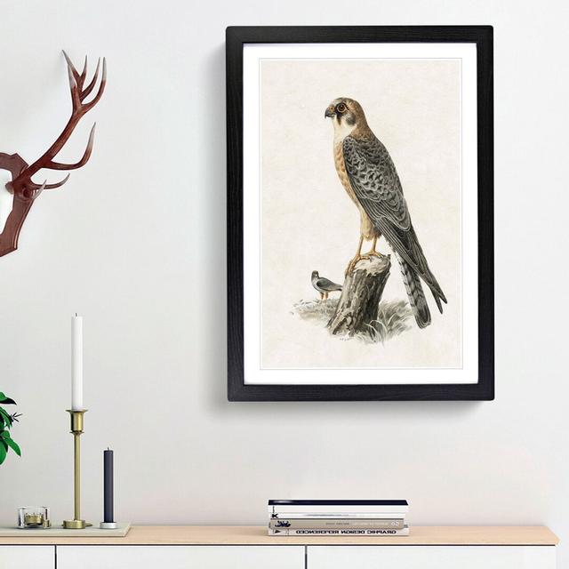 Red-Footed Falcon by Von Wright - Picture Frame Painting Print East Urban Home Frame Option: Black Framed, Size: 87cm H x 62cm W x 2cm D on Productcaster.