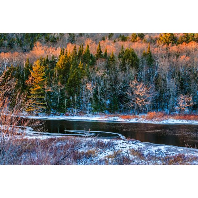 Adirondack Wintry Stream by Dszc - Wrapped Canvas Art Prints Alpen Home Size: 61cm H x 91cm W x 3.8cm D on Productcaster.