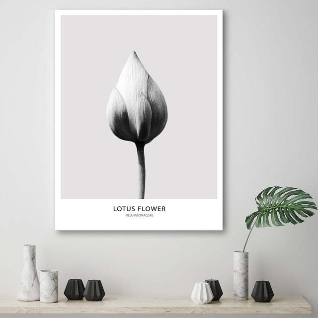 Leinwandbild Lotus Flower Black And White Happy Larry Größe: 90 cm H x 60 cm B on Productcaster.