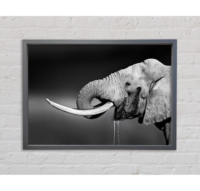 Elefant Drink - Einzelner Bilderrahmen Kunstdrucke auf Leinwand Ebern Designs Größe: 84,1 cm H x 118,9 cm B x 3,3 cm T on Productcaster.