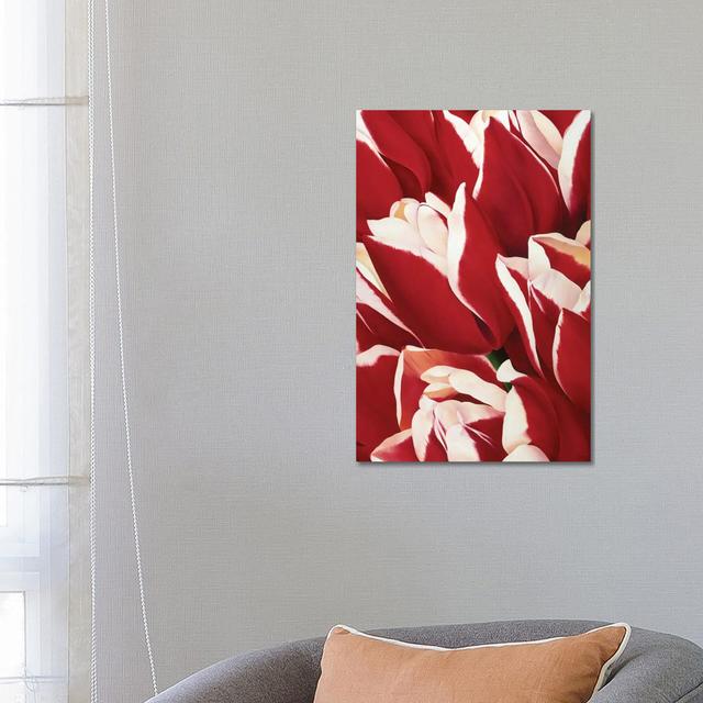 Red & White II by Yvonne Poelstra-Holzhaus - Wrapped Canvas Painting ClassicLiving Size: 66.04cm H x 45.72cm W x 1.905cm D on Productcaster.