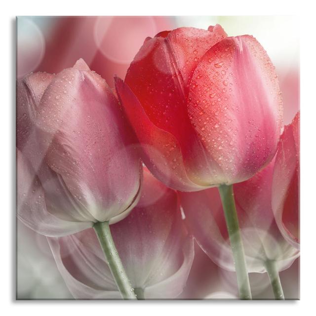 Beautiful Tulips - Unframed Photograph on Glass Brayden Studio Size: 70cm H x 70cm W x 0.4cm D on Productcaster.