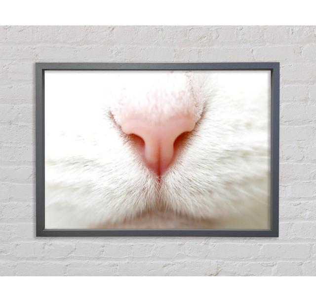 Cat Nose 2 Framed Print Bright Star Size: 100cm H x 141.4cm W x 3.3cm D on Productcaster.