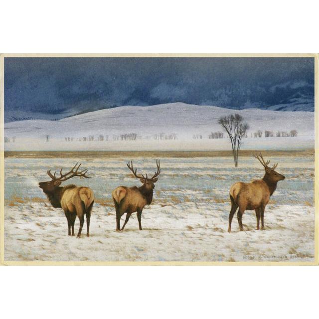 Refuge Elk by Chris Vest - Wrapped Canvas Painting Union Rustic Size: 51cm H x 76cm W on Productcaster.