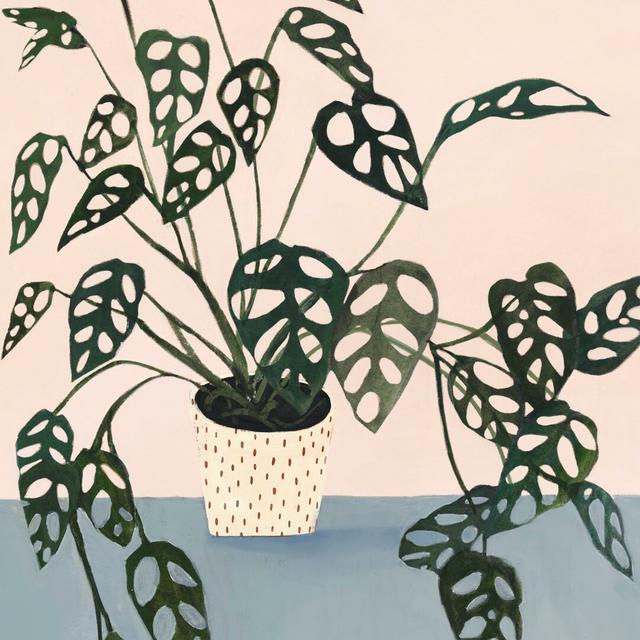 Houseplant I by Victoria Borges - Wrapped Canvas Art Prints Bay Isle Home Size: 76cm H x 76cm W x 3.8cm D on Productcaster.