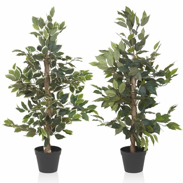 Vertical Ficus Tree in Pot The Seasonal Aisle on Productcaster.