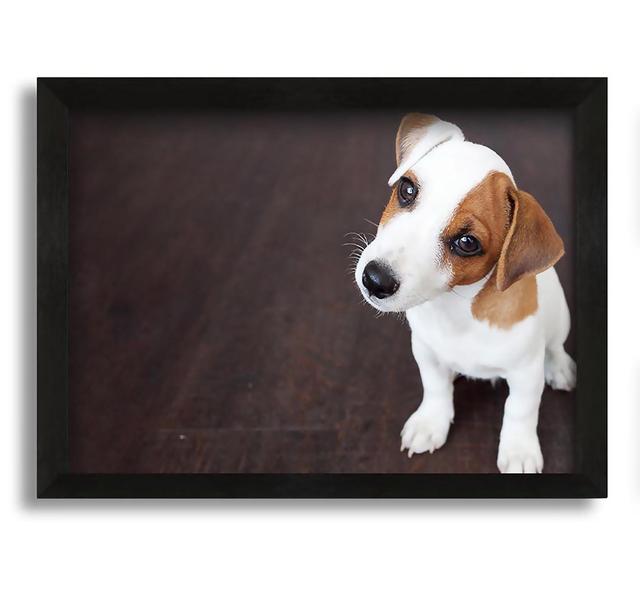 Inquisitive Dog Jack Russell Pup - Picture Frame Photograph on Canvas Latitude Run Size: 42cm H x 60cm W x 10cm D on Productcaster.