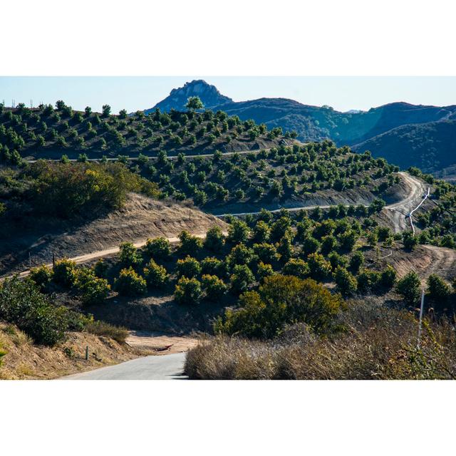 Avocado Grove Mountains by JonGorr - No Frame Art Prints on Canvas 17 Stories Size: 30cm H x 46cm W on Productcaster.