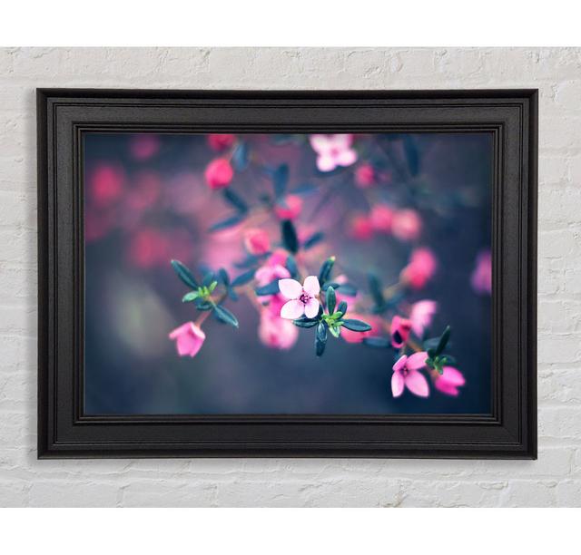 Four Petals Framed Print Ebern Designs Size: 42cm H x 59.7cm W on Productcaster.