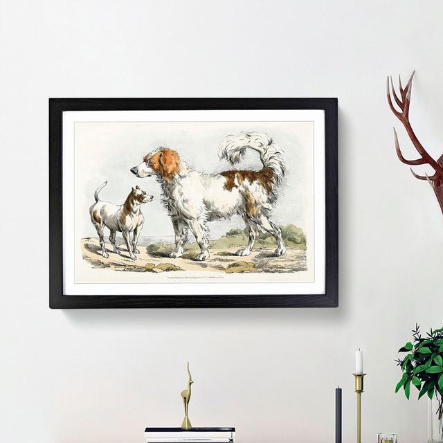 Two Hunting Dogs by Henry Alken - Picture Frame Painting Print East Urban Home Size: 36cm H x 48cm W x 2cm D, Frame Option: Black Framed on Productcaster.