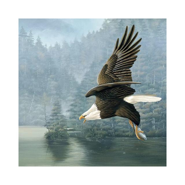 Flying Eagle by Jan Weenink - Wrapped Canvas Painting Alpen Home Size: 30.48cm H x 30.48cm W x 1.905cm D on Productcaster.