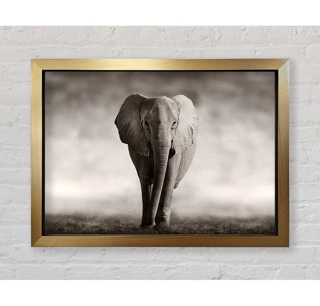 Lonesome Elephant - Print Bright Star Size: 59.7cm H x 84.1cm W x 3.4cm D on Productcaster.