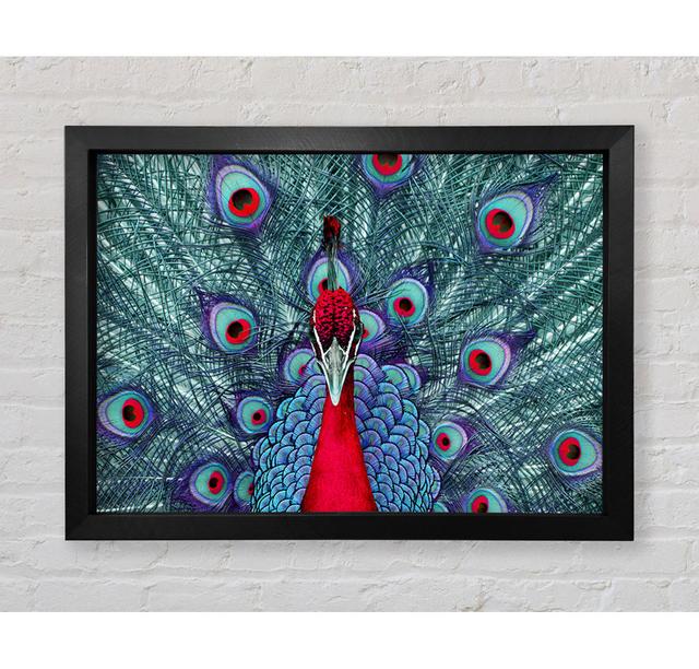 Peacock Beauty - Single Picture Frame Art Prints Bright Star Size: 42cm H x 59.7cm W x 3.4cm D on Productcaster.