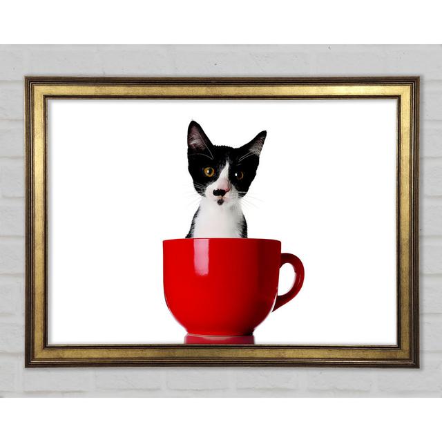 Cat In A Tea Cup - Single Picture Frame Art Prints Ebern Designs Size: 59.1cm H x 84.1cm W x 1.5cm D on Productcaster.