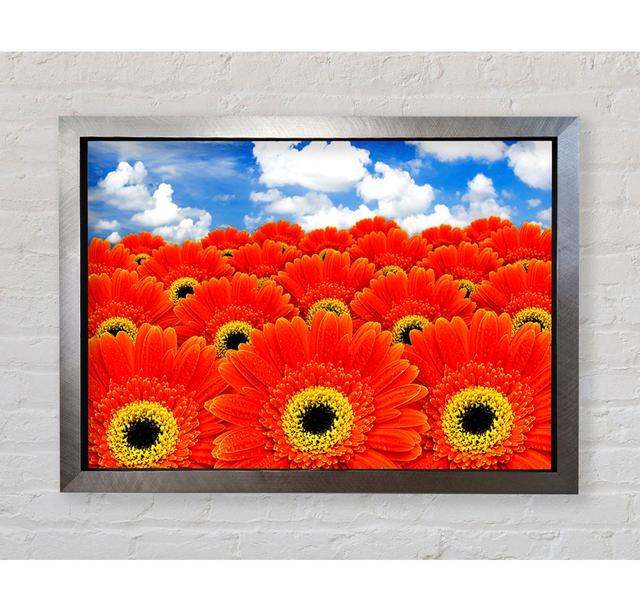 Orange Gerbera Heaven - Einzelner Bilderrahmen Kunstdrucke Bright Star Größe: 100,1 cm H x 141,4 cm B x 3,4 cm T on Productcaster.