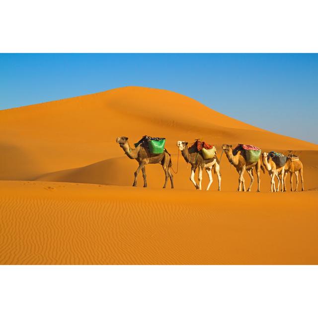 Desert Caravan by Pazhyna - Wrapped Canvas Print Gracie Oaks Size: 61cm H x 91cm W x 3.8cm D on Productcaster.