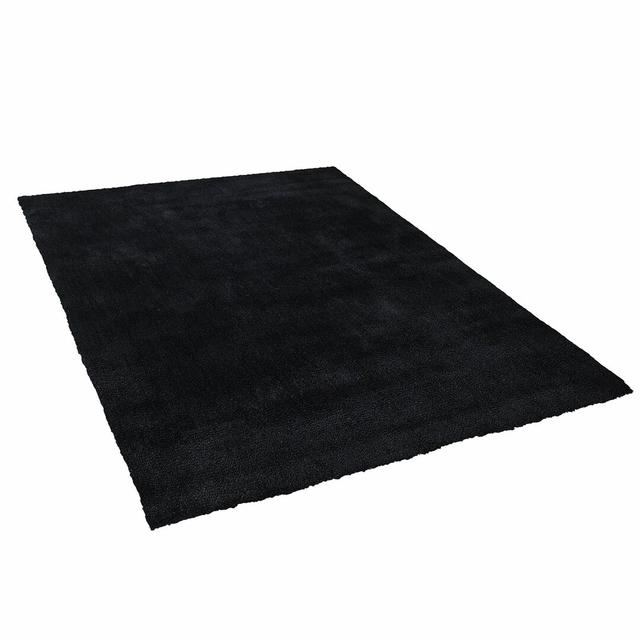 Feder Shaggy Black Rug Ebern Designs on Productcaster.