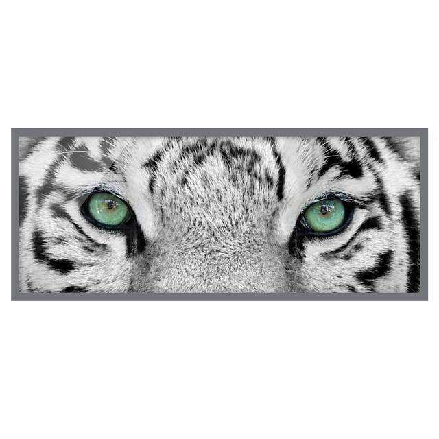 White Tiger - Picture Frame Graphic Art Bloomsbury Market Size: 40cm H x 100cm W x 2cm D, Frame Option: Grey Framed on Productcaster.