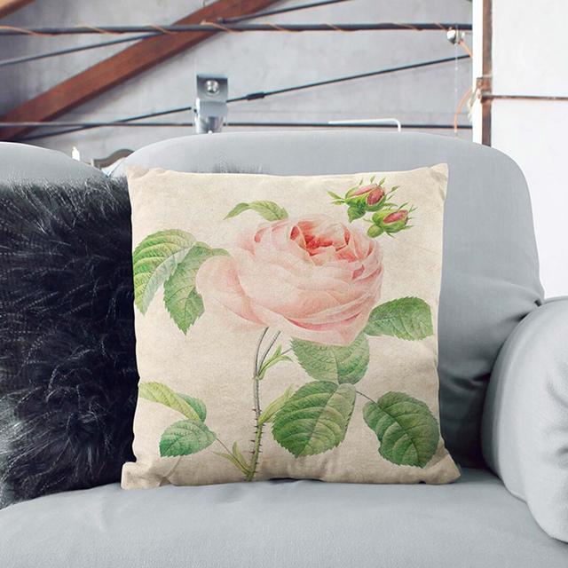 Shrub Rose by Pierre-Joseph Redoute Cushion with Filling East Urban Home Size: 55cm H x 55cm W x 20cm D, Backing Colour: White on Productcaster.