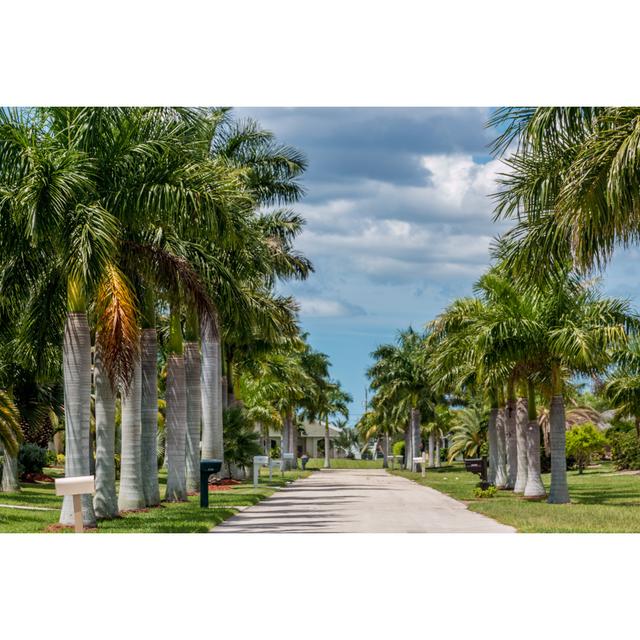 Sunny Florida by Derejeb - Wrapped Canvas Photograph 17 Stories Size: 20cm H x 30cm W on Productcaster.