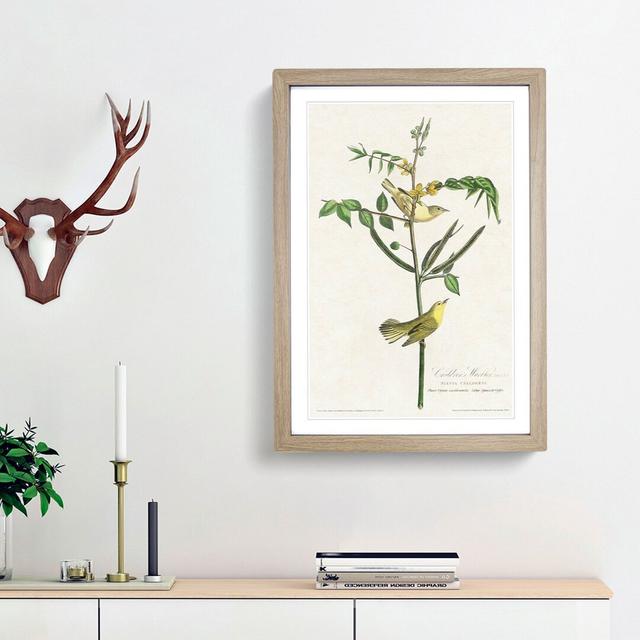 Children's Warbler Birds by John Audubon - Picture Frame Painting Print East Urban Home Size: 48cm H x 36cm W x 2cm D, Frame Option: Oak Framed on Productcaster.