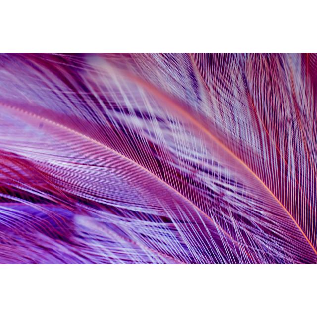 Violet Color Trends Chicken Feather Texture Background Ebern Designs Size: 20cm H x 30cm W on Productcaster.