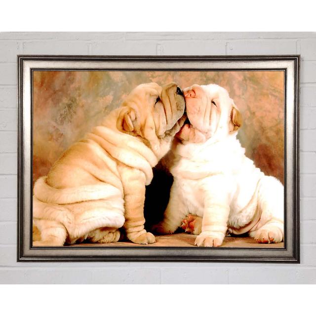 Shar Pei Welpen - Drucken Ebern Designs Größe: 84,1 cm H x 118,9 cm B x 1,5 cm T on Productcaster.