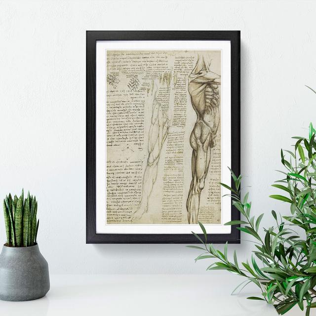 Human Anatomy Vol.6 by Leonardo Da Vinci - Picture Frame Drawing East Urban Home Size: 65cm H x 48cm W x 2cm D, Frame Option: Black Framed on Productcaster.