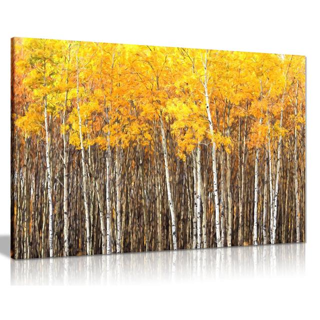 Aspen Trees Forest Nature - Wrapped Canvas Print Panther Print Size: 31cm H x 46cm W on Productcaster.