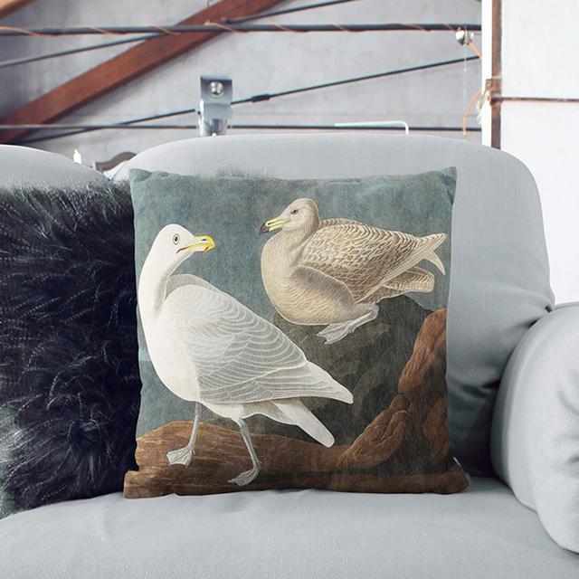 Burgomaster Gulls by John James Audubon Cushion with Filling East Urban Home Size: 55 x 55 cm, Backing Colour: Stone on Productcaster.