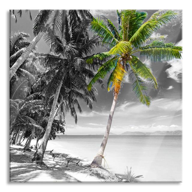 Beautiful Beach With Palm Trees - No Frame Print on Glass 17 Stories Size: 70cm H x 70cm W x 0.4cm D on Productcaster.