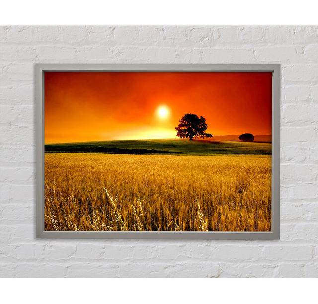 Stunning Countryside Sunset - Single Picture Frame Art Prints on Canvas Bright Star Size: 59.7cm H x 84.1cm W x 3.3cm D on Productcaster.