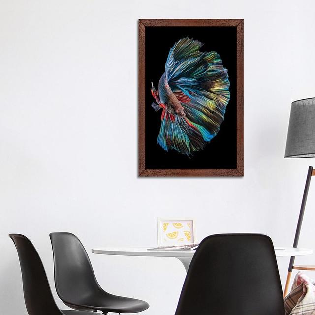 The Betta Fish' by Jim Warren Highland Dunes Size: 101.6cm H x 66.04cm W x 3.81cm D, Format: Brown Floater Framed on Productcaster.