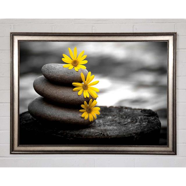 Single Picture Frame Art Prints Ebern Designs Size: 59.7cm H x 84.1cm W on Productcaster.