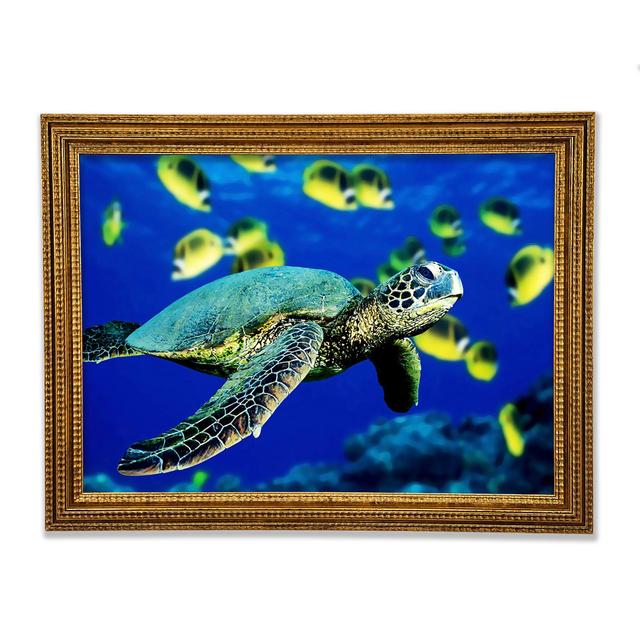 Turtle Ocean - Print 17 Stories Size: 59.7cm H x 84.1cm W on Productcaster.