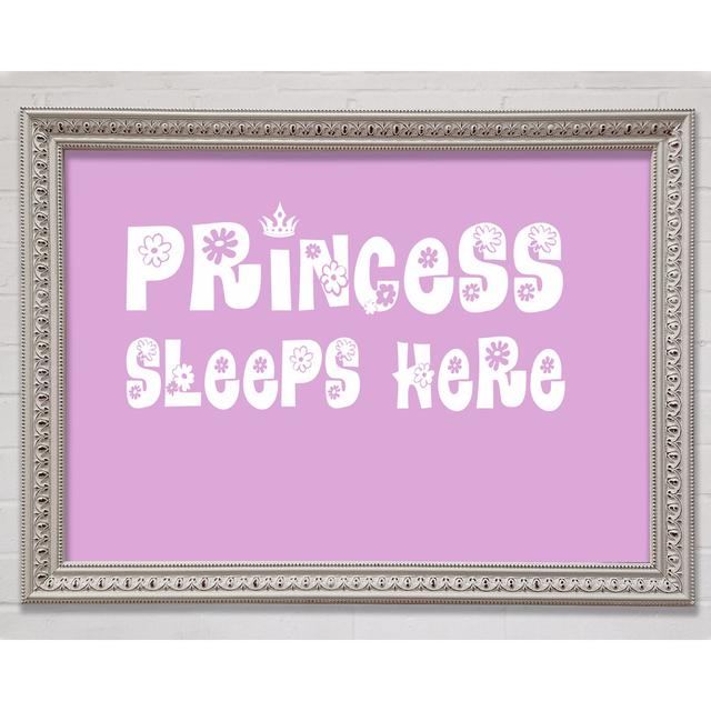 Princesss Sleeps Here Beige Framed Print Happy Larry Colour: Pink, Size: 42cm H x 59.7cm W x 3cm D on Productcaster.