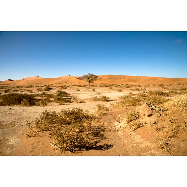 Dry desert landscape 157316193 Natur Pur Size: 81cm H x 122cm W on Productcaster.