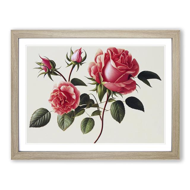 Inspirational Rose Flowers - Picture Frame Graphic Art Marlow Home Co. Frame Colour: Oak Framed, Size: 46cm H x 64cm W x 2cm D on Productcaster.