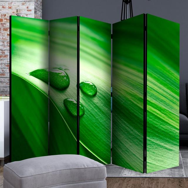 Nerseh 172cm H Folding Room Divider Ebern Designs Number of Panels: 5 on Productcaster.