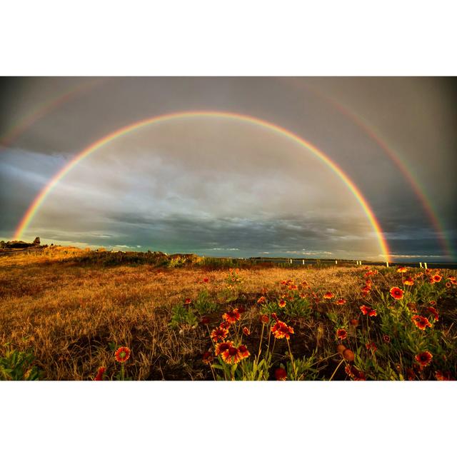 Rainbows over a Park by Jamesvancouver - Wrapped Canvas Photograph 17 Stories Size: 20cm H x 30cm W on Productcaster.