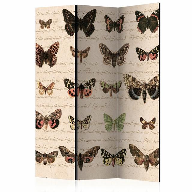 Cowles Solid Wood Folding Room Divider Lily Manor Number of Panels: 3 on Productcaster.