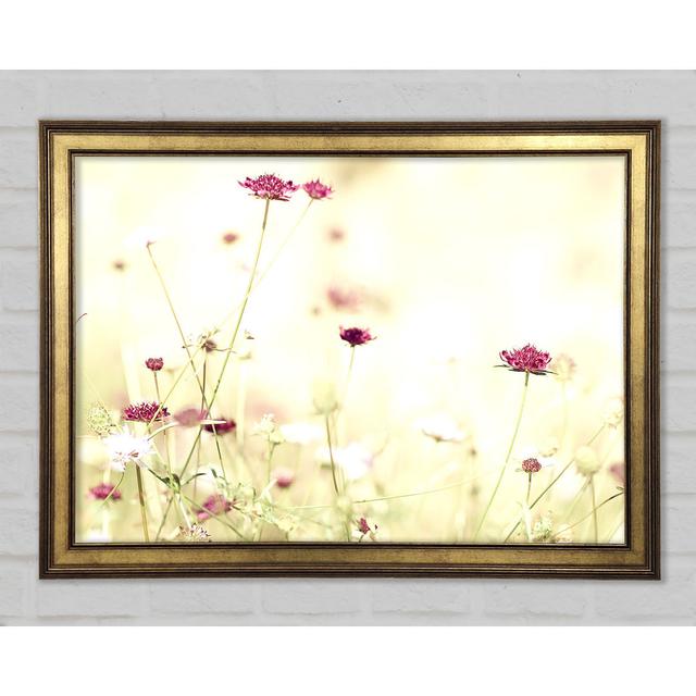 Wildflowers In Stunning Sunlight - Single Picture Frame Art Prints Ebern Designs Size: 42cm H x 59.7cm W x 1.5cm D on Productcaster.