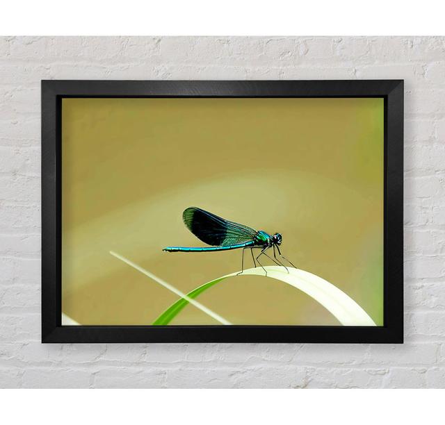 Wings Of Beauty - Single Picture Frame Art Prints Bright Star Size: 100cm H x 141.4cm W x 3.4cm D on Productcaster.