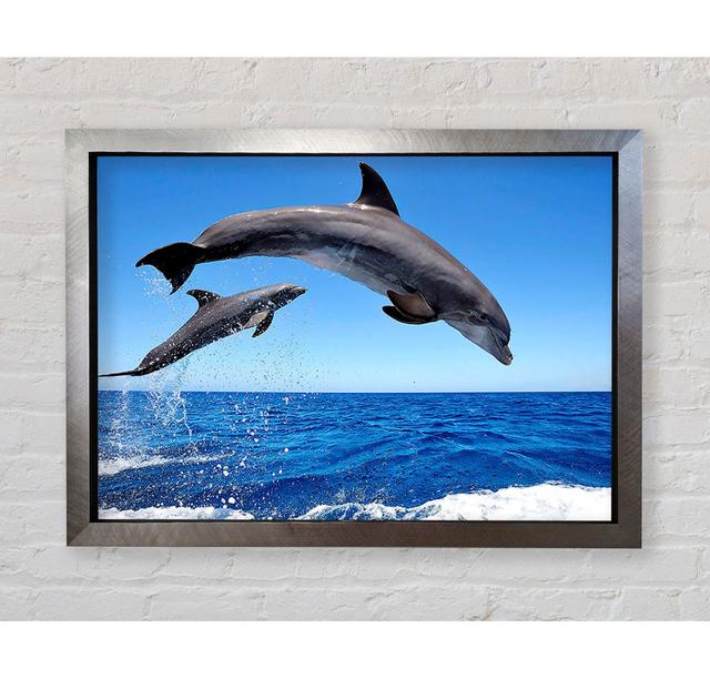 Common Bottlenose Dolphins - Single Picture Frame Art Prints Bright Star Size: 100cm H x 141.4cm W x 3.4cm D on Productcaster.