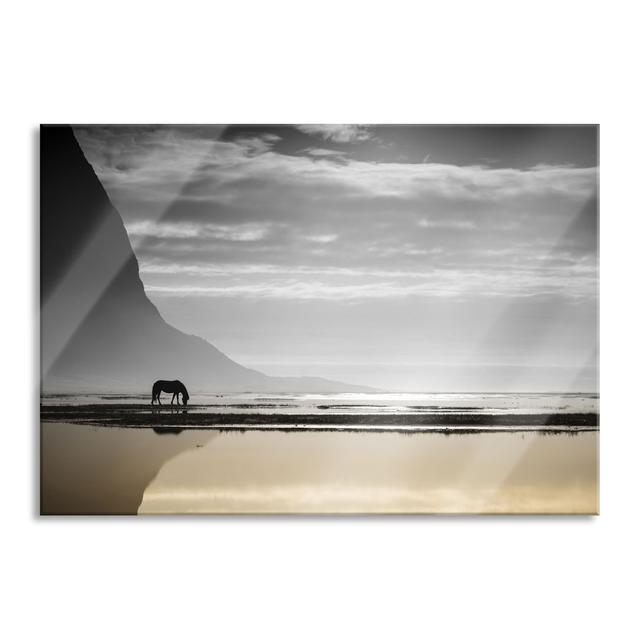 Horse On Island Shore - No Frame Print on Glass Gracie Oaks Size: 70cm H x 100cm W x 0.4cm D on Productcaster.