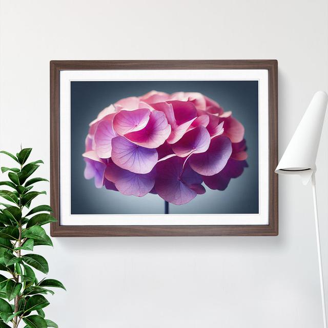 Pure Hydrangea Flowers - Picture Frame Graphic Art 17 Stories Frame Colour: Walnut, Size: 34cm H x 46cm W x 2cm D on Productcaster.