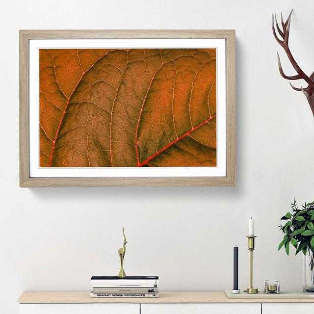 Leaf Veins - Picture Frame Photograph Print East Urban Home Frame Option: Oak Framed, Size: 27cm H x 36cm W x 2cm D on Productcaster.