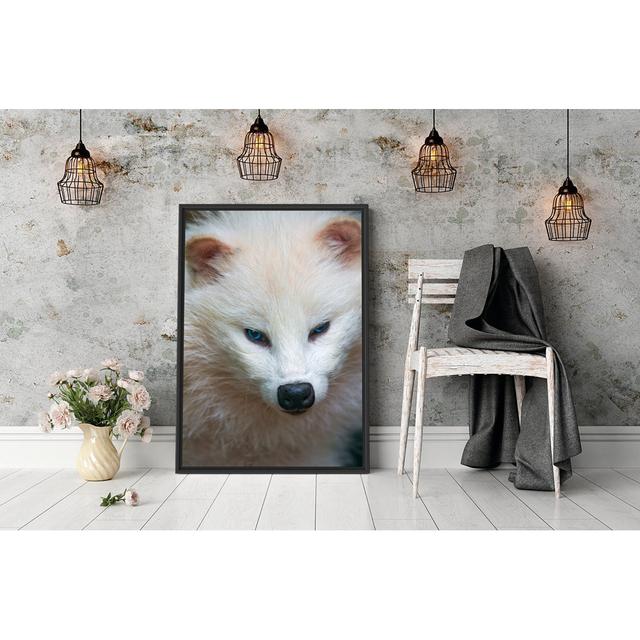 Gerahmtes Holzbild Little Arctic Fox East Urban Home Matte Farbausführung: Weiß, Format: Für 1 Foto, Größe: 38 cm H x 30 cm B x 2,5 cm T on Productcaster.